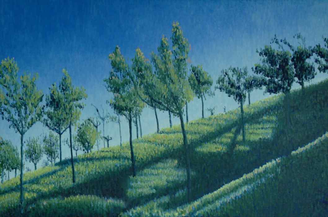 Coonoor tea plantation - sunlight and shade