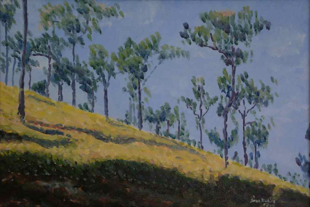 Coonoor tea plantation on a hazy day