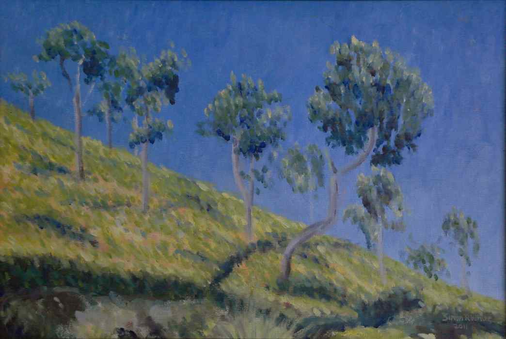 Coonoor tea plantation trees