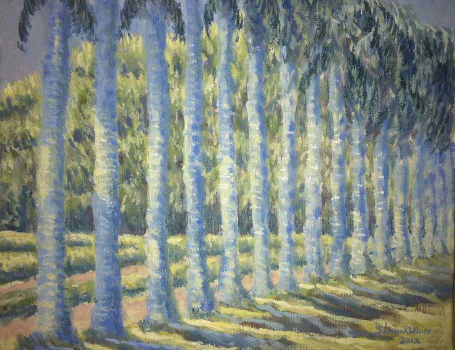 Palm trees in Lodhi Gardens, New Delhi