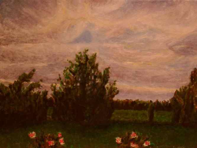 Wateringbury Garden - view over field in evening