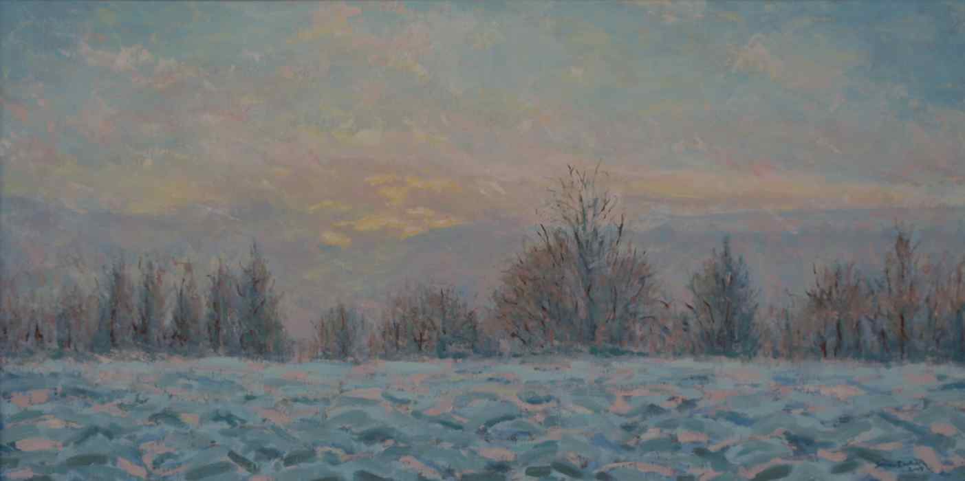 Bavarian field in winter at sunset
