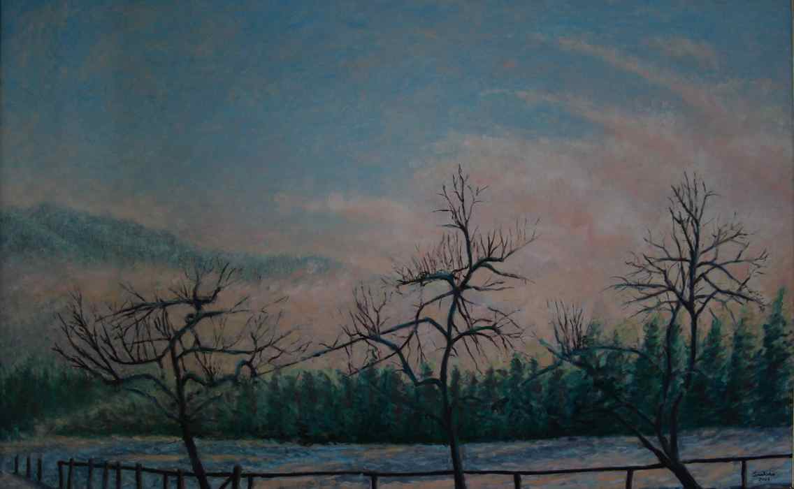 Trees at Weiskirche in snow with sunset approaching